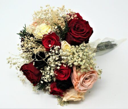 Ramo Laura - Imagen 12